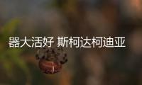 器大活好 斯柯達(dá)柯迪亞克底盤實(shí)拍解析