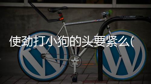 使勁打小狗的頭要緊么(小狗可以使勁打嗎)