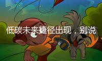 低碳未來捷徑出現，別說你真懂“數字碳中和”！