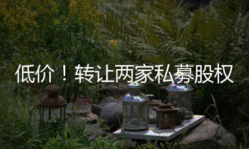 低價！轉讓兩家私募股權投資基金公司殼
