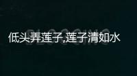 低頭弄蓮子,蓮子清如水修辭手法	 低頭弄蓮子蓮子清如水修辭手法是