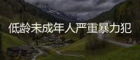 低齡未成年人嚴重暴力犯罪可通過核準追訴依法追究刑事責任