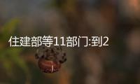 住建部等11部門:到2025年,存量農(nóng)房安全隱患基本消除