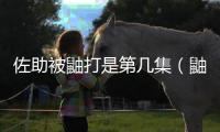 佐助被鼬打是第幾集（鼬和佐助打是第幾集）