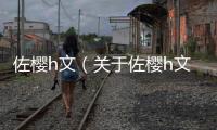 佐櫻h文（關(guān)于佐櫻h文的基本情況說(shuō)明介紹）