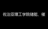 佐治亞理工學院儲能、催化領域教授簡介 – 材料牛