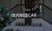 體內(nèi)制造CAR