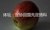 體壇：足協回國先定揚科維奇去留！若解約無需支付賠償金