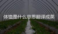 體恤是什么意思翻譯成英文（體恤是什么意思）
