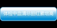 體檢中血清總膽紅素增高 是啥意思?（血清膽紅素增高是什么意思）