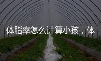 體脂率怎么計(jì)算小孩，體脂率怎么計(jì)算