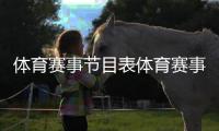體育賽事節目表體育賽事概述搜狐體育世預賽