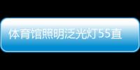 體育館照明泛光燈55直播體育直播體育商業(yè)綜合體