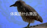 體臭是什么原因