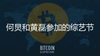 何炅和黃磊參加的綜藝節目叫什么名字