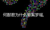 何猷君為什么娶奚夢瑤,何獻君對奚夢瑤是真愛還是利用真相