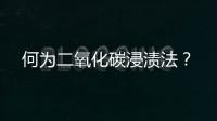 何為二氧化碳浸漬法？