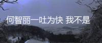 何智麗一吐為快 我不是葉永烈廣告商