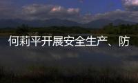 何莉平開展安全生產、防汛防臺暨“除險保安”工作督查