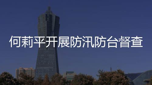 何莉平開展防汛防臺督查：全面加強風險防范 切實筑牢人民群眾安全防線