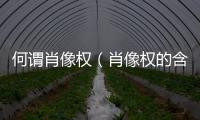 何謂肖像權（肖像權的含義）