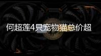 何超蓮4只寵物貓總價超200萬，三太能干，才能給她奢華生活