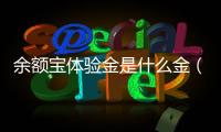 余額寶體驗金是什么金（余額寶體驗金是什么）