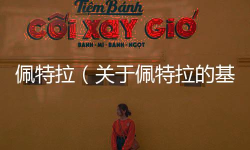佩特拉（關(guān)于佩特拉的基本情況說明介紹）