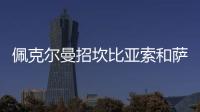 佩克爾曼招坎比亞索和薩內蒂入隊