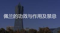佩蘭的功效與作用及禁忌癥有作用及禁忌（佩蘭的功效與作用及禁忌）