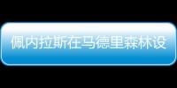 佩內(nèi)拉斯在馬德里森林設(shè)計(jì)“透明”度假屋（組圖）