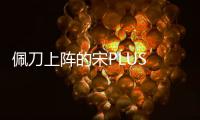 佩刀上陣的宋PLUS EV 能否將對手斬落馬下