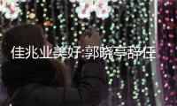 佳兆業美好:郭曉亭辭任執行董事兼副主席一職