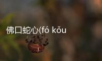 佛口蛇心(fó kǒu shé xīn)又是什么梗?