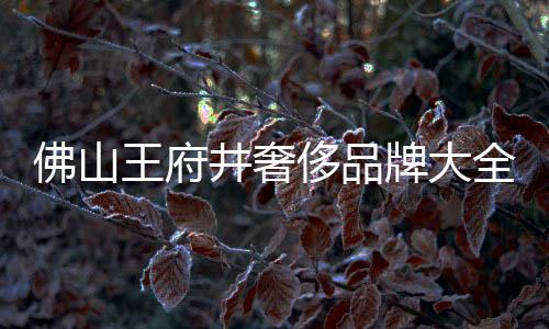 佛山王府井奢侈品牌大全(佛山王府井有哪些專柜)