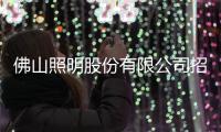 佛山照明股份有限公司招聘信息（佛山照明股份有限公司）