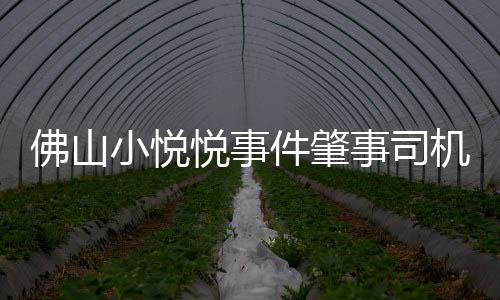 佛山小悅悅事件肇事司機怎么樣了（佛山小悅悅事件）