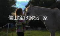 佛山錳13鋼板廠家