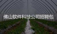 佛山軟件科技公司招聘包括佛山的軟件科技公司的詳細情況