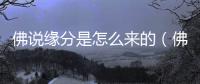 佛說(shuō)緣分是怎么來(lái)的（佛說(shuō)什么是緣分）