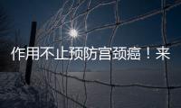 作用不止預防宮頸癌！來看看3種hpv疫苗的注射意義