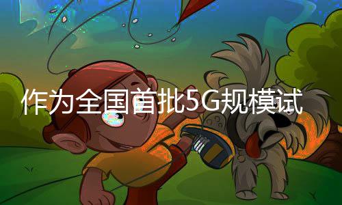 作為全國首批5G規模試驗網試點市 武漢建成全省首批5G基站