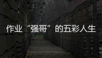 作業“強哥”的五彩人生