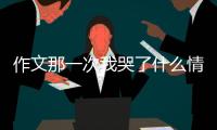 作文那一次我哭了什么情況?