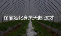 佟麗婭化身黑天鵝 這才是仙女應該有的模樣