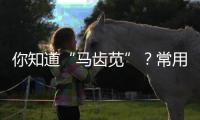 你知道“馬齒莧”？常用它煮水喝，身體或有6大功效，不妨看看