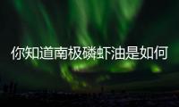 你知道南極磷蝦油是如何提煉而成的嗎？