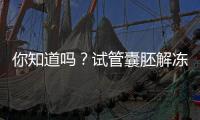 你知道嗎？試管囊胚解凍后子宮內(nèi)膜達(dá)標(biāo)才能移植