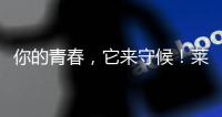 你的青春，它來守候！萊特維健NMN，年輕的秘訣
