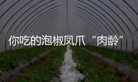 你吃的泡椒鳳爪“肉齡”可能有30多年 看完要吐了